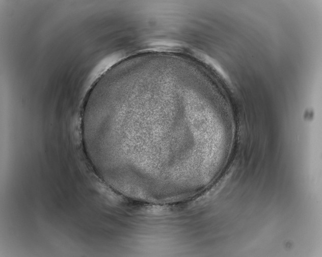 X0000102021362200808011414