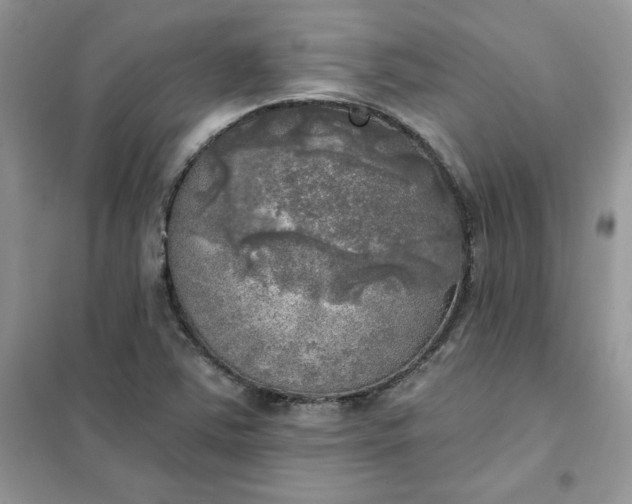 X0000102021363200808011414