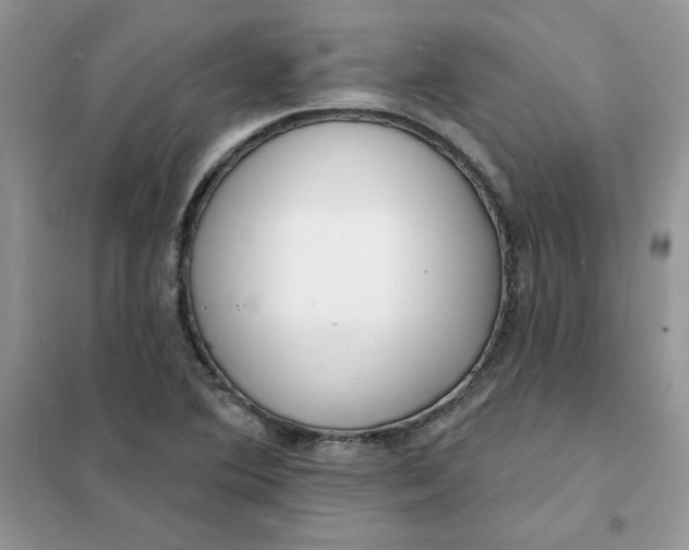 X0000102021364200808011414