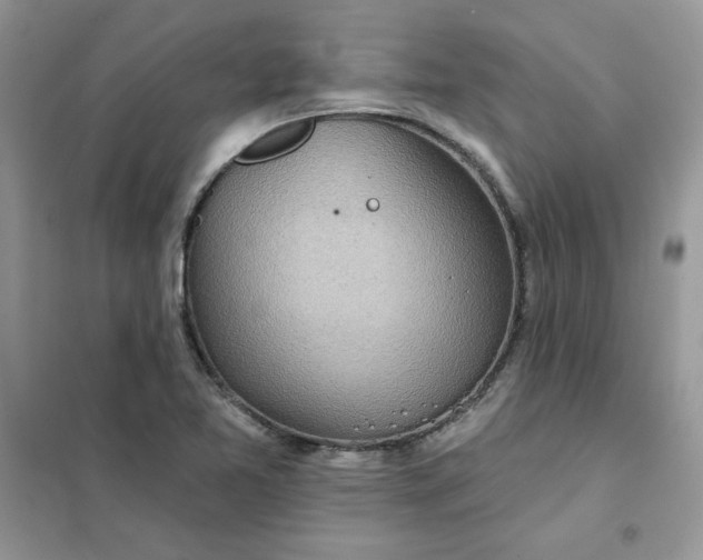 X0000102021365200808011414
