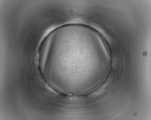 X0000102021366200808011414