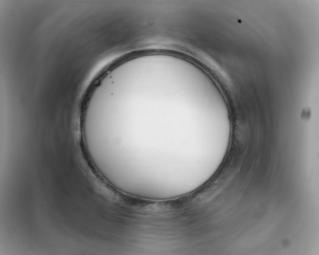 X0000102021368200808011414