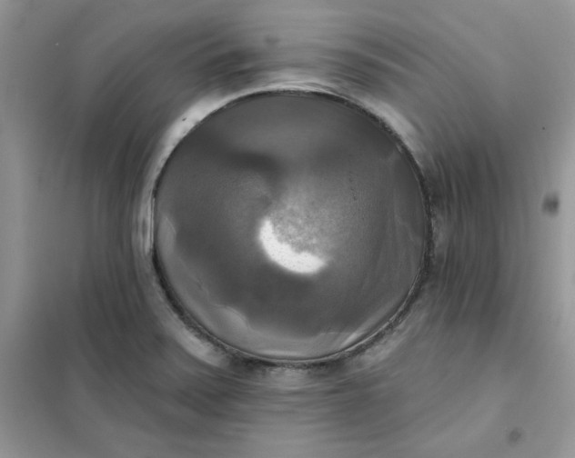 X0000102021371200808011414