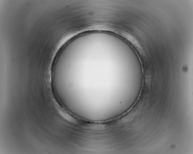 X0000102021372200808011414