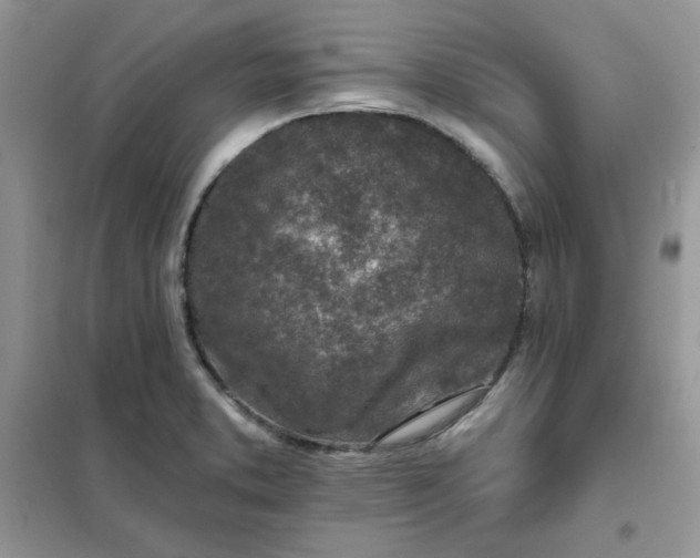 X0000102021373200808011414