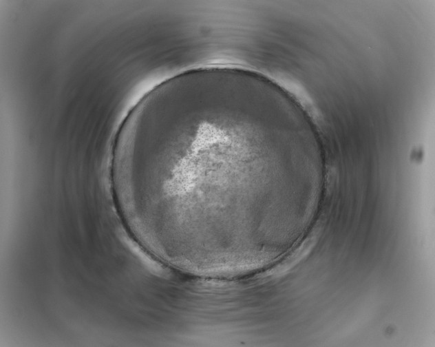 X0000102021374200808011414