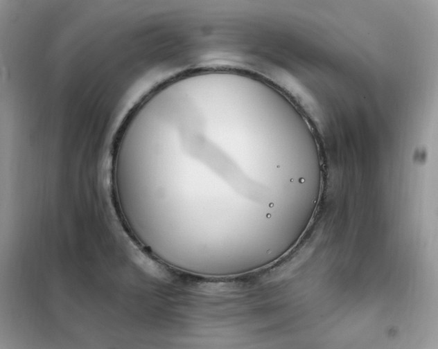X0000102021376200808011414