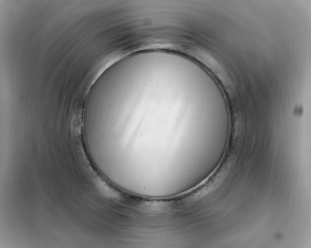 X0000102021377200808011414