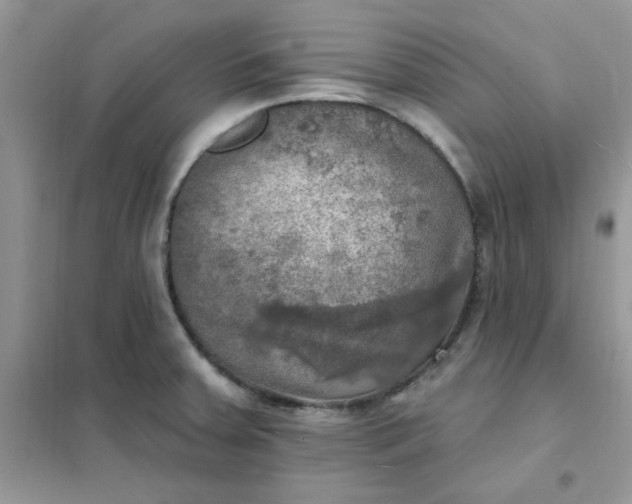 X0000102021379200808011414