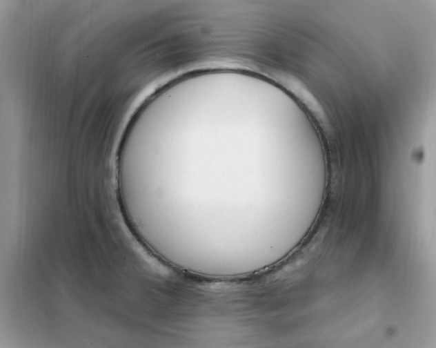 X0000102021380200808011414