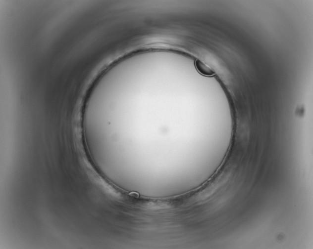 X0000102021384200808011413