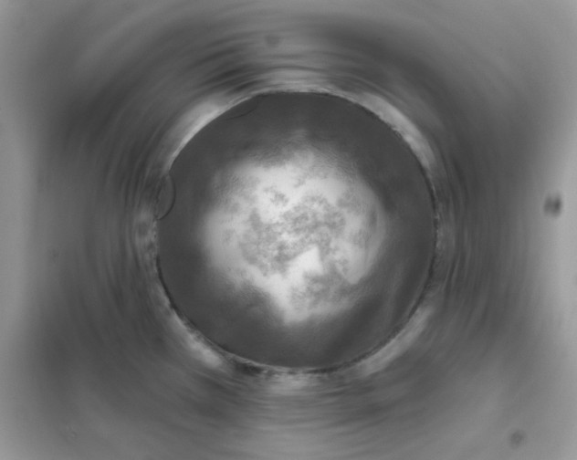 X0000102021385200808011413