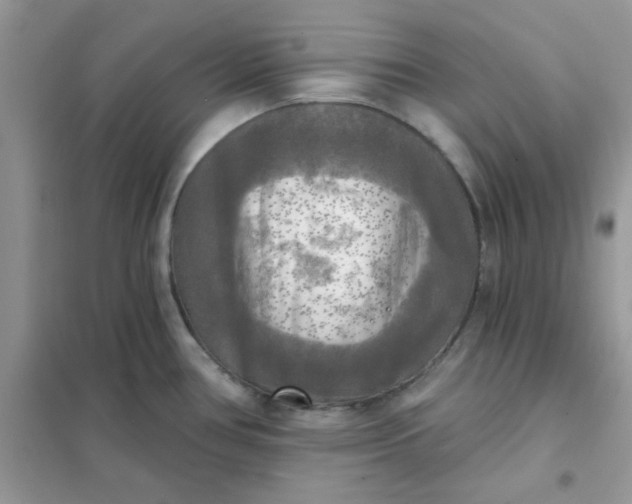 X0000102021386200808011413