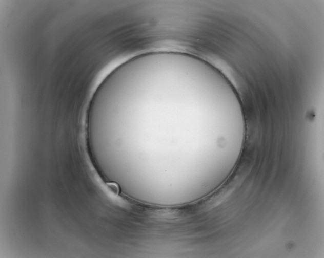 X0000102021387200808011413