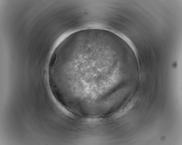 X0000102021389200808011413