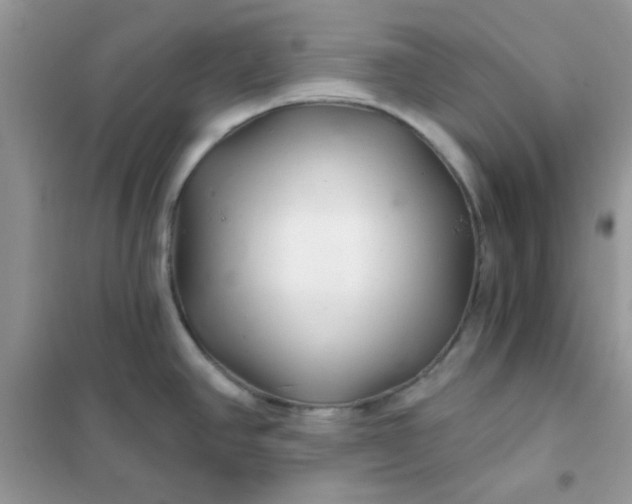 X0000102021390200808011413
