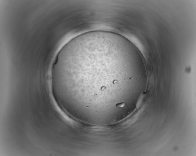 X0000102021391200808011413