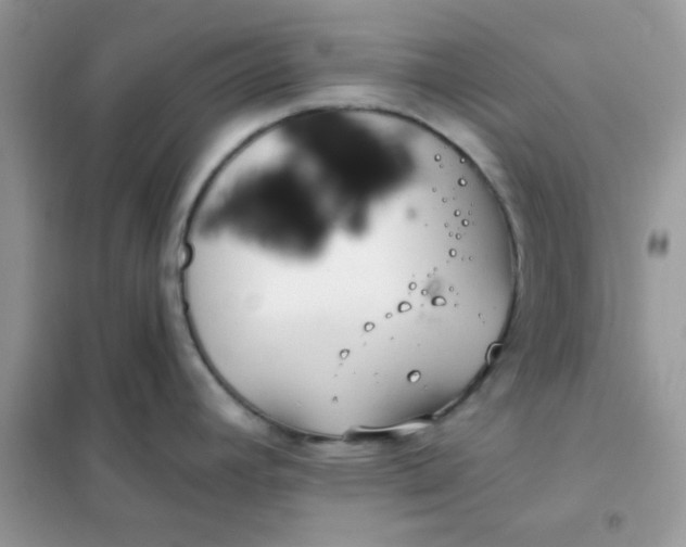 X0000102021392200808011413