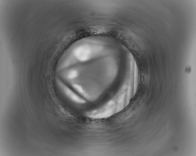 X0000102021393200808011413