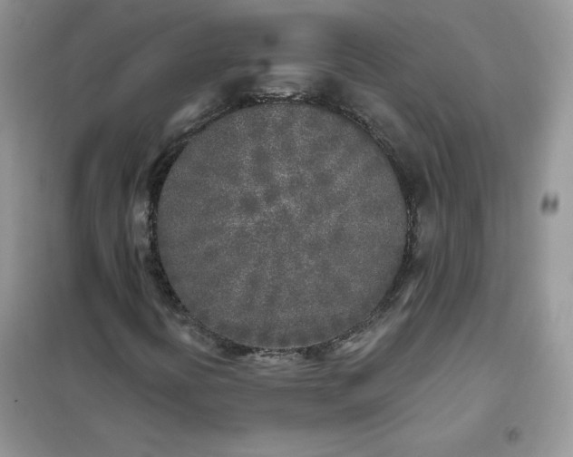 X0000102021394200808011413