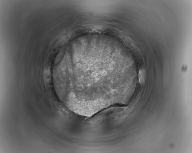 X0000102021395200808011413