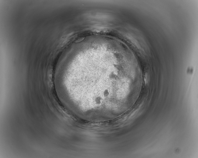 X0000102021396200808011413