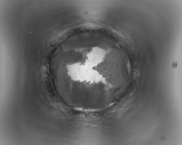 X0000102021397200808011413