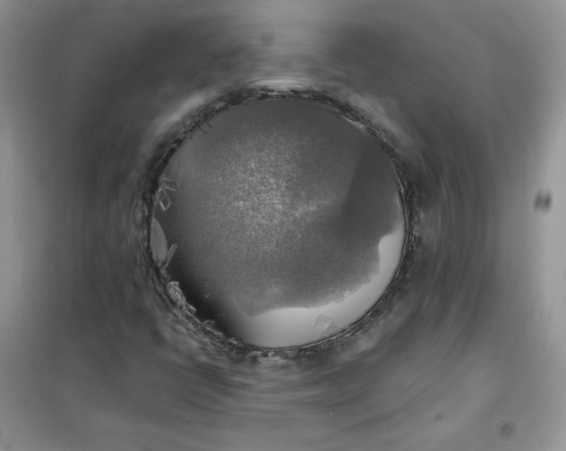 X0000102021398200808011413
