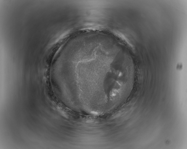 X0000102021399200808011413