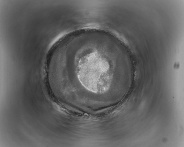 X0000102021400200808011413
