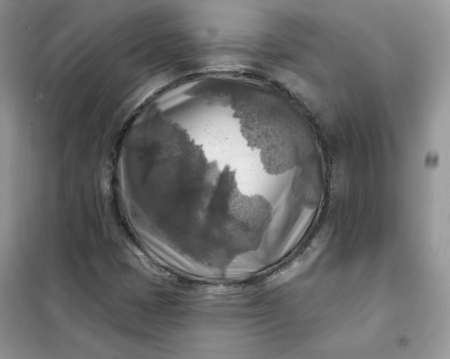 X0000102021401200808011413