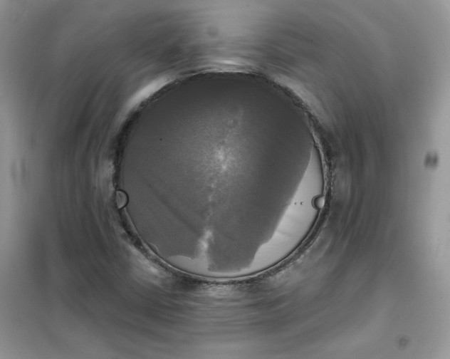 X0000102021402200808011413