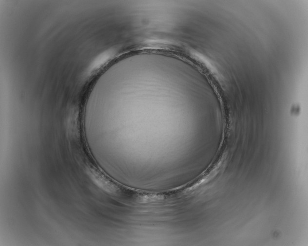 X0000102021403200808011413