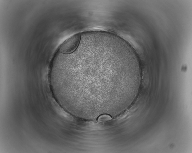 X0000102021404200808011413