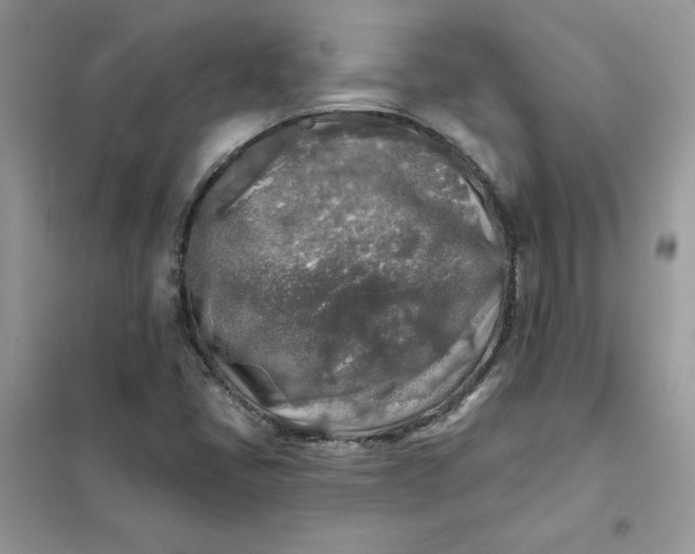 X0000102021405200808011413