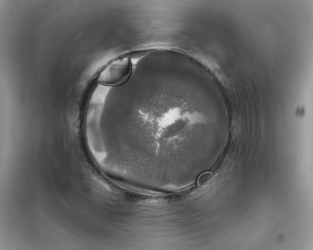 X0000102021406200808011413