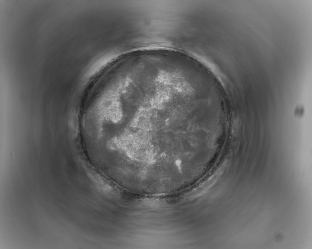 X0000102021407200808011413
