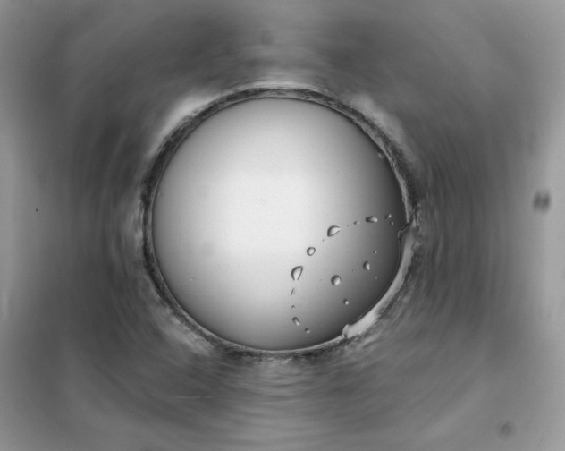 X0000102021408200808011413
