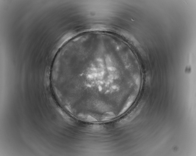 X0000102021409200808011413