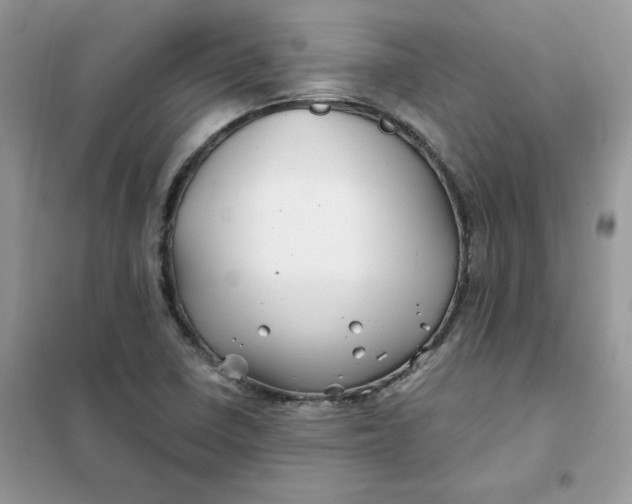 X0000102021410200808011413