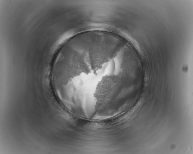 X0000102021411200808011413