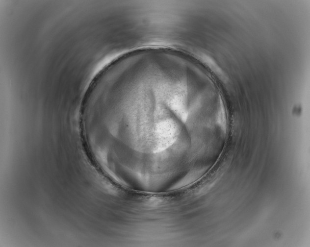 X0000102021412200808011413