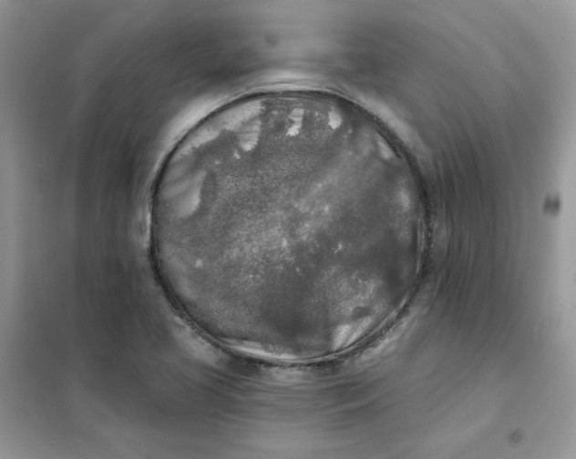 X0000102021413200808011413