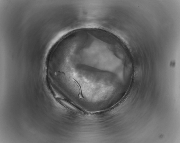 X0000102021414200808011413