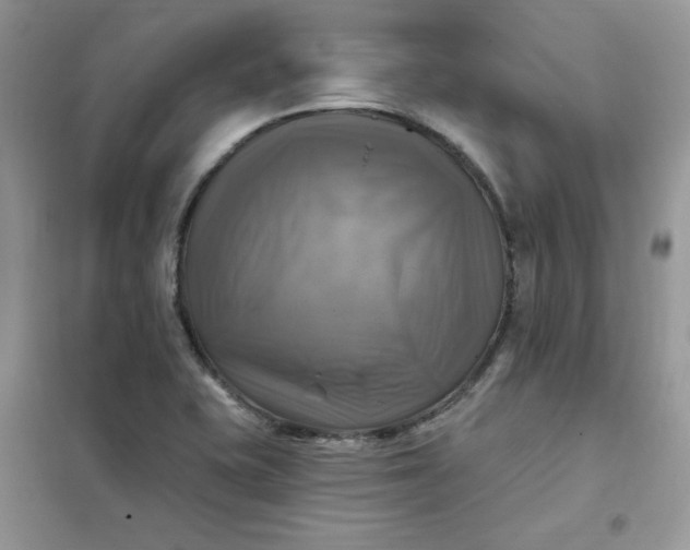 X0000102021415200808011413