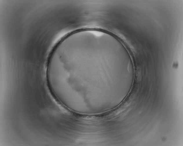 X0000102021416200808011413