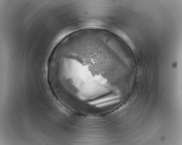 X0000102021419200808011413