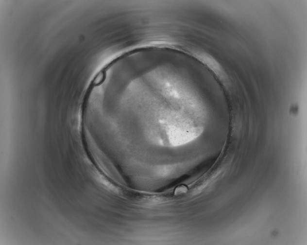 X0000102021420200808011413