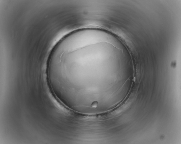 X0000102021422200808011413