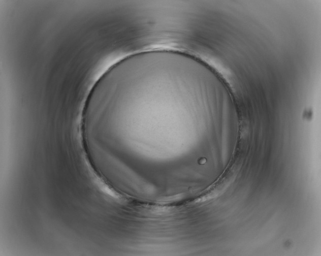 X0000102021423200808011413
